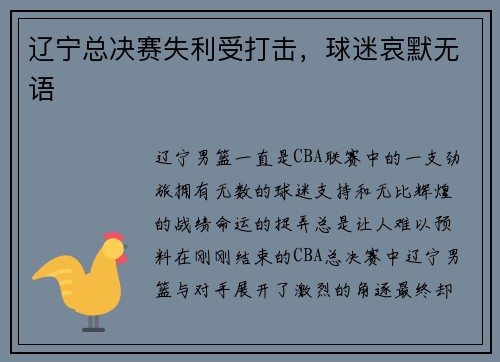 辽宁总决赛失利受打击，球迷哀默无语